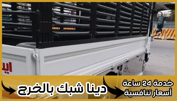دينا شبك بالخرج