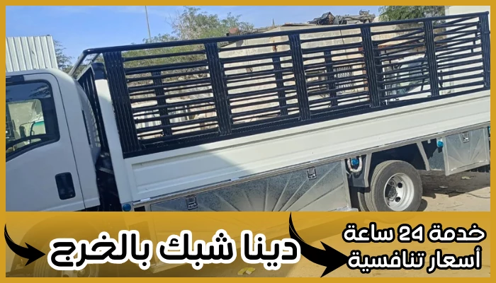 دينا شبك بالخرج