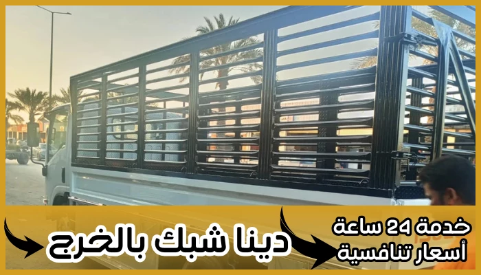 دينا شبك بالخرج