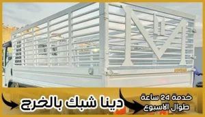 دينا شبك بالخرج